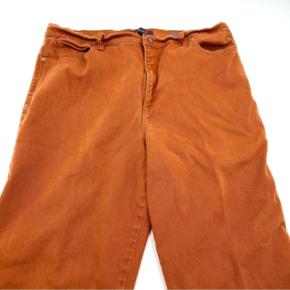 Gloria Vanderbilt Amanda High Rise Straight Leg Rust Denim Jeans Size 16 - Picture 8 of 14